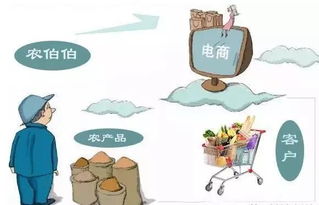 农村电商创业指南 农产品电商网络搭建全攻略